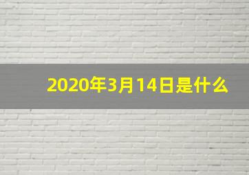 2020年3月14日是什么