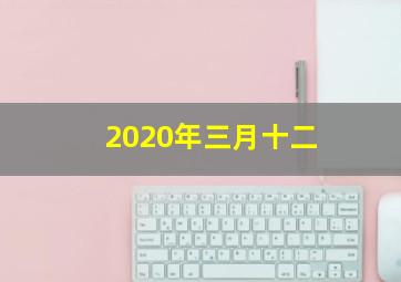 2020年三月十二