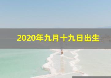 2020年九月十九日出生