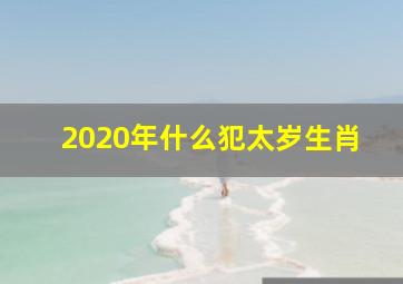 2020年什么犯太岁生肖