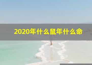 2020年什么鼠年什么命