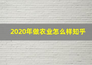 2020年做农业怎么样知乎