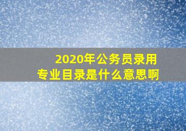 2020年公务员录用专业目录是什么意思啊