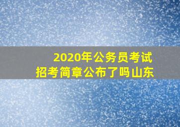 2020年公务员考试招考简章公布了吗山东