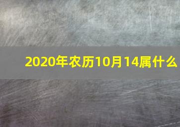 2020年农历10月14属什么