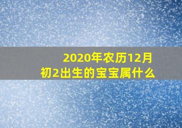 2020年农历12月初2出生的宝宝属什么