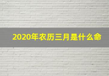 2020年农历三月是什么命