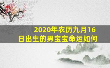 2020年农历九月16日出生的男宝宝命运如何