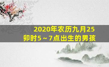 2020年农历九月25卯时5～7点出生的男孩