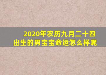 2020年农历九月二十四出生的男宝宝命运怎么样呢