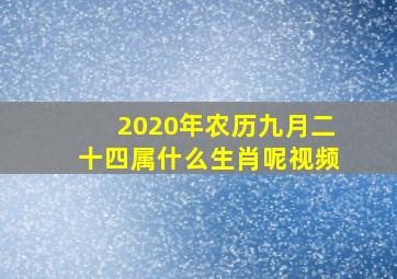 2020年农历九月二十四属什么生肖呢视频