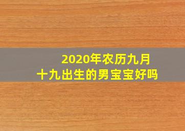 2020年农历九月十九出生的男宝宝好吗