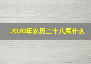 2020年农历二十八属什么