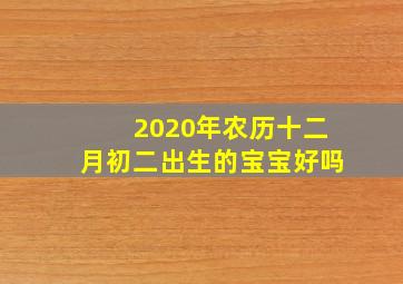 2020年农历十二月初二出生的宝宝好吗