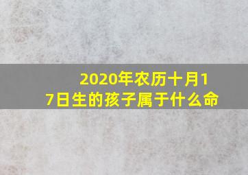 2020年农历十月17日生的孩子属于什么命