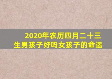 2020年农历四月二十三生男孩子好吗女孩子的命运