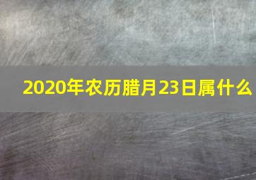 2020年农历腊月23日属什么