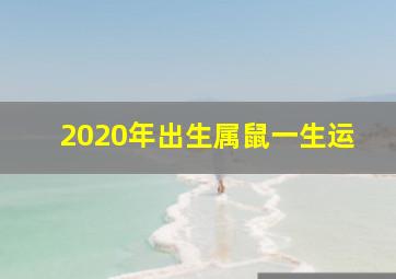 2020年出生属鼠一生运