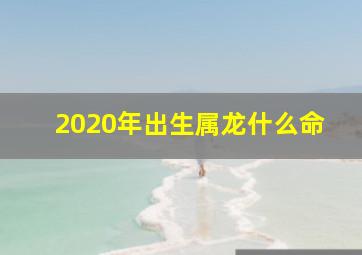 2020年出生属龙什么命