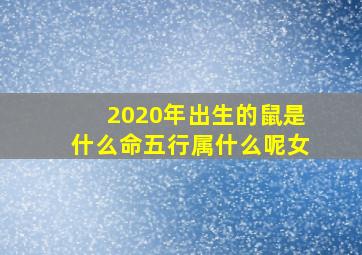 2020年出生的鼠是什么命五行属什么呢女