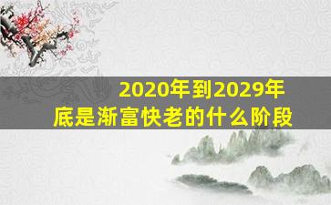 2020年到2029年底是渐富快老的什么阶段