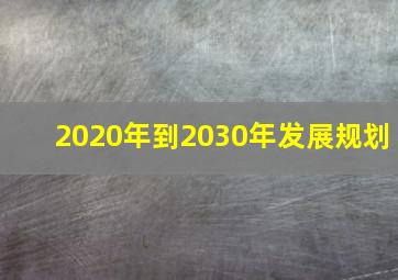 2020年到2030年发展规划