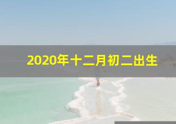 2020年十二月初二出生