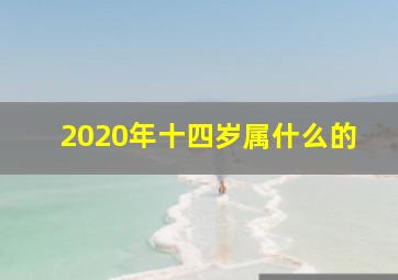 2020年十四岁属什么的