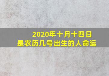 2020年十月十四日是农历几号出生的人命运