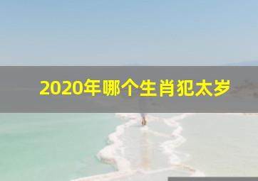 2020年哪个生肖犯太岁