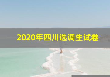 2020年四川选调生试卷