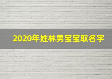 2020年姓林男宝宝取名字