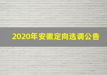 2020年安徽定向选调公告