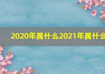 2020年属什么2021年属什么