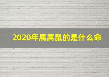 2020年属属鼠的是什么命