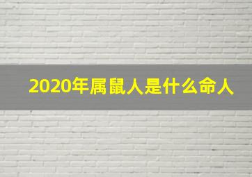 2020年属鼠人是什么命人