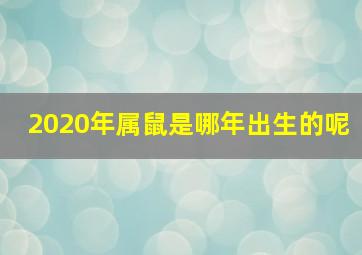 2020年属鼠是哪年出生的呢