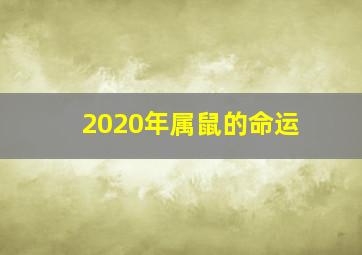 2020年属鼠的命运