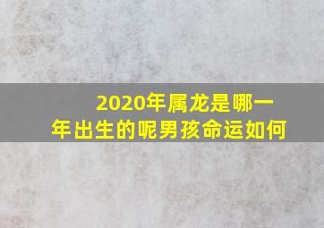 2020年属龙是哪一年出生的呢男孩命运如何