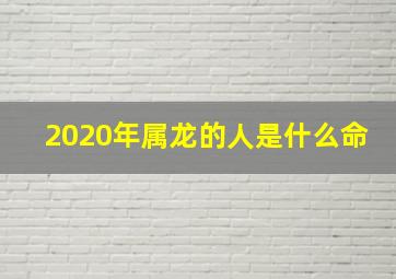 2020年属龙的人是什么命