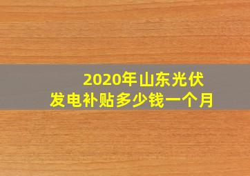 2020年山东光伏发电补贴多少钱一个月