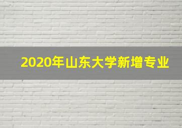 2020年山东大学新增专业