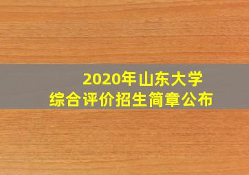 2020年山东大学综合评价招生简章公布