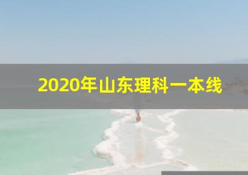 2020年山东理科一本线