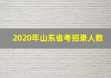 2020年山东省考招录人数