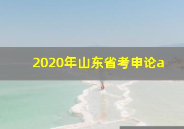 2020年山东省考申论a