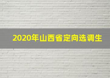 2020年山西省定向选调生