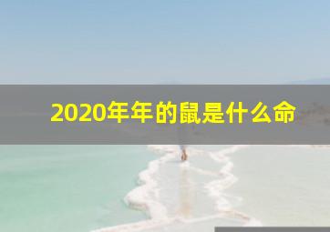 2020年年的鼠是什么命