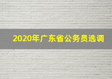 2020年广东省公务员选调