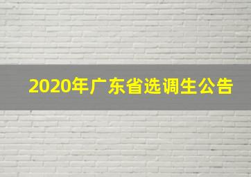 2020年广东省选调生公告